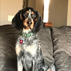 Meet your Posher, Kelly